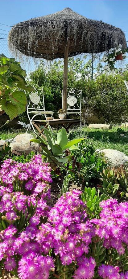 Blacksheep Sagres Guesthouse & Surf Ngoại thất bức ảnh