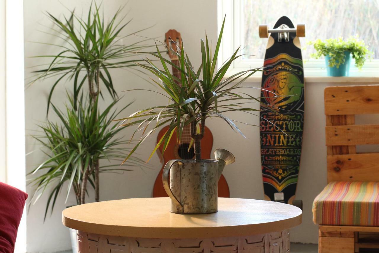 Blacksheep Sagres Guesthouse & Surf Ngoại thất bức ảnh